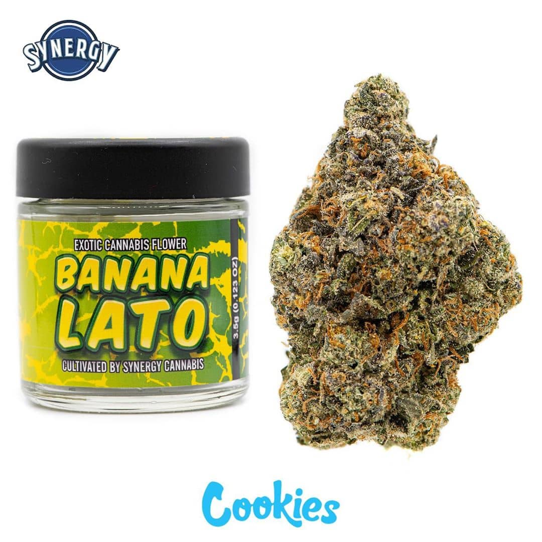 Banana Lato
